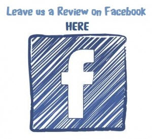 Facebook review button on Fertur website