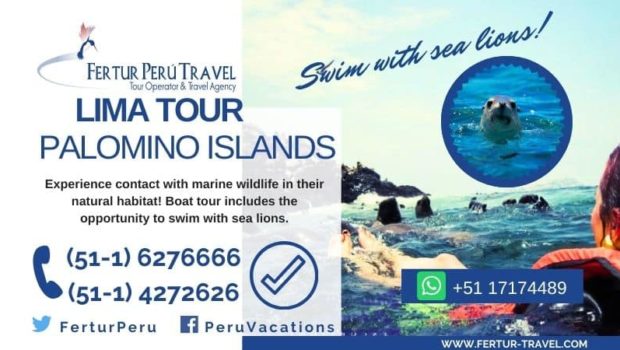 Swim with Sea Lions in Peru: Palomino Island Boat Tour