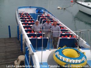 Tourist boats for daily excursions to the Palomino Islands off the coast of Lima, Callao, Peru