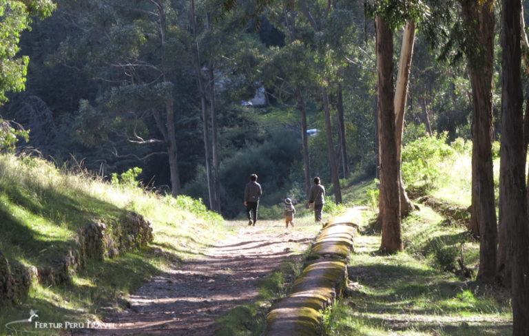 Andean Road System 