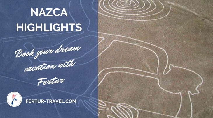 Nazca Highlight - giant monkey geophyph and other information